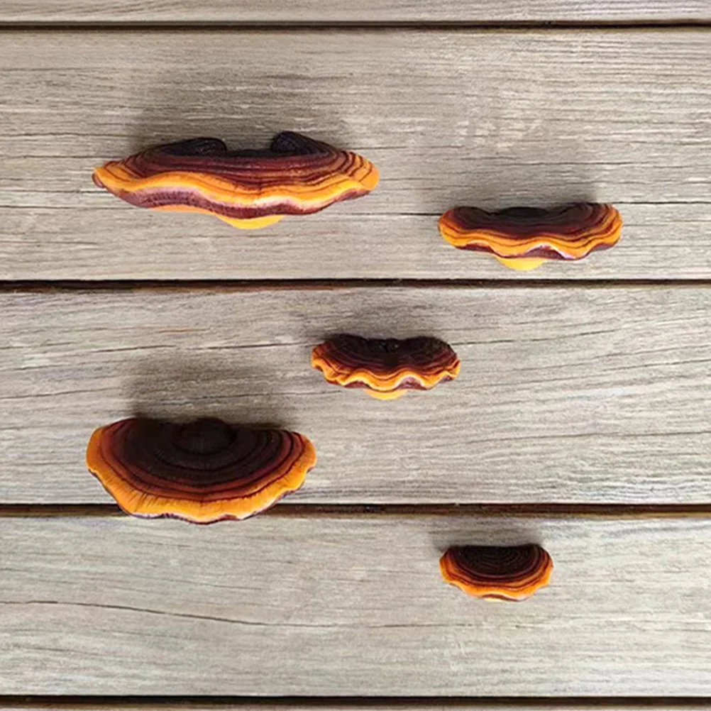 

Аксессуары, полимерные Статуэтки из искусственного люцида, украшения для газона, фигурки грибов