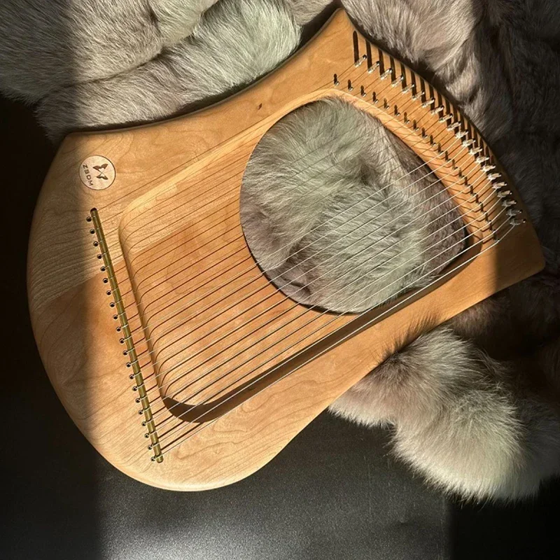 22 Strings Lyre Harp Luxury Rosewood Diatonic Scale Harps Portable Professional Lyre Music Performance Rare Stringed Instruments
