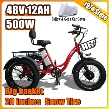 Electric Trike w/ Snow Tires 1