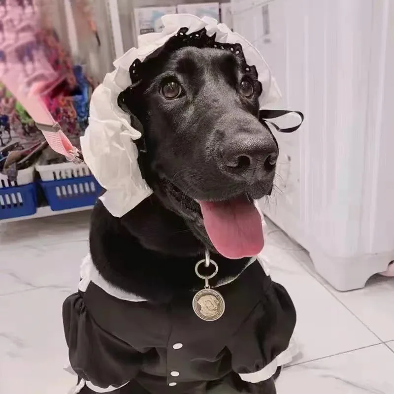 Summer Dog Dress Costume 2