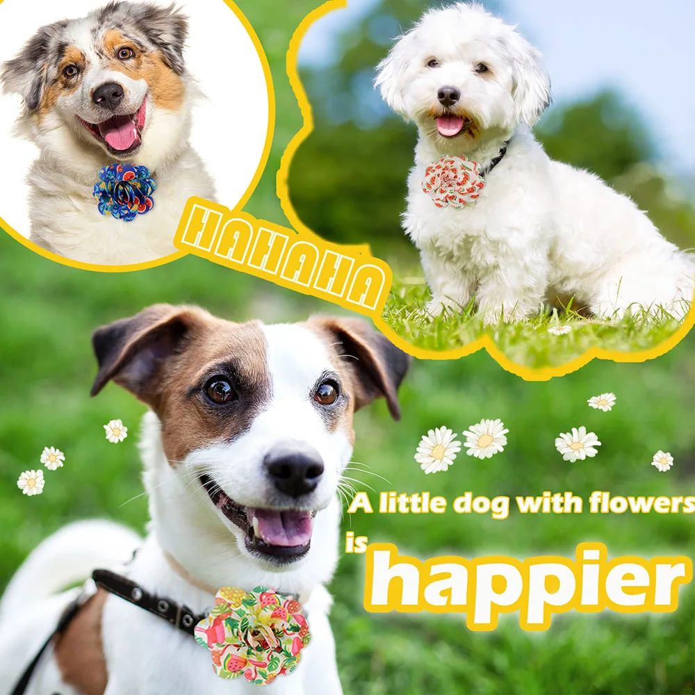 20PCS Pet Collar Accessories Summer Movable Pet Collar-flower Bowtie With Elastic Band For Dog and Cat Puppy Collar Pet Supplies 2