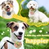 20PCS Pet Collar Accessories Summer Movable Pet Collar-flower Bowtie With Elastic Band For Dog and Cat Puppy Collar Pet Supplies 2