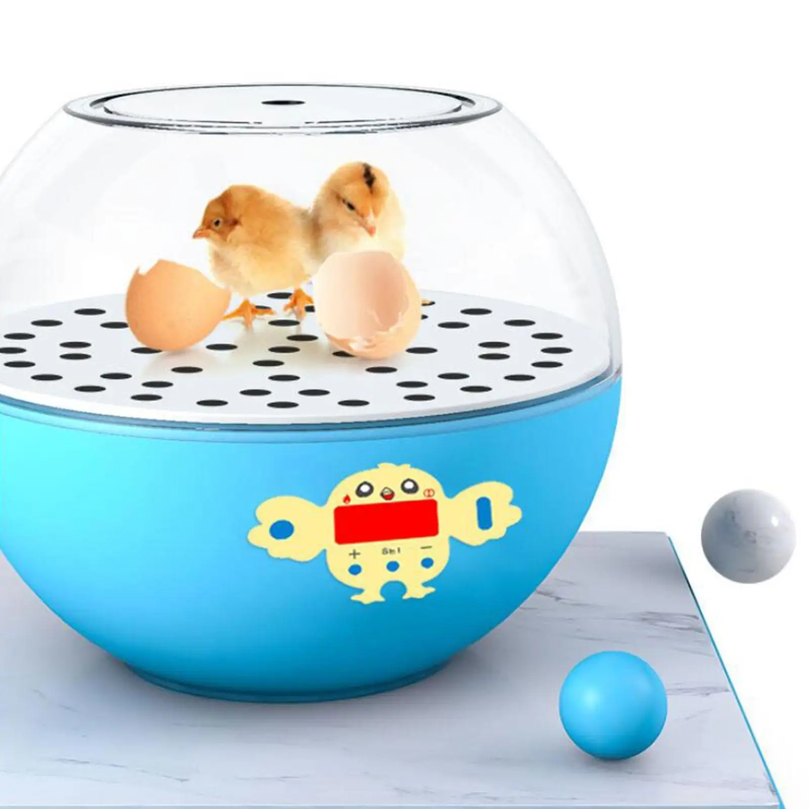 6 Eggs Incubator Visible Temperature Control Home Use Egg Hatcher Digital Egg Incubator for Quail Goose Chickens Turkey Duck