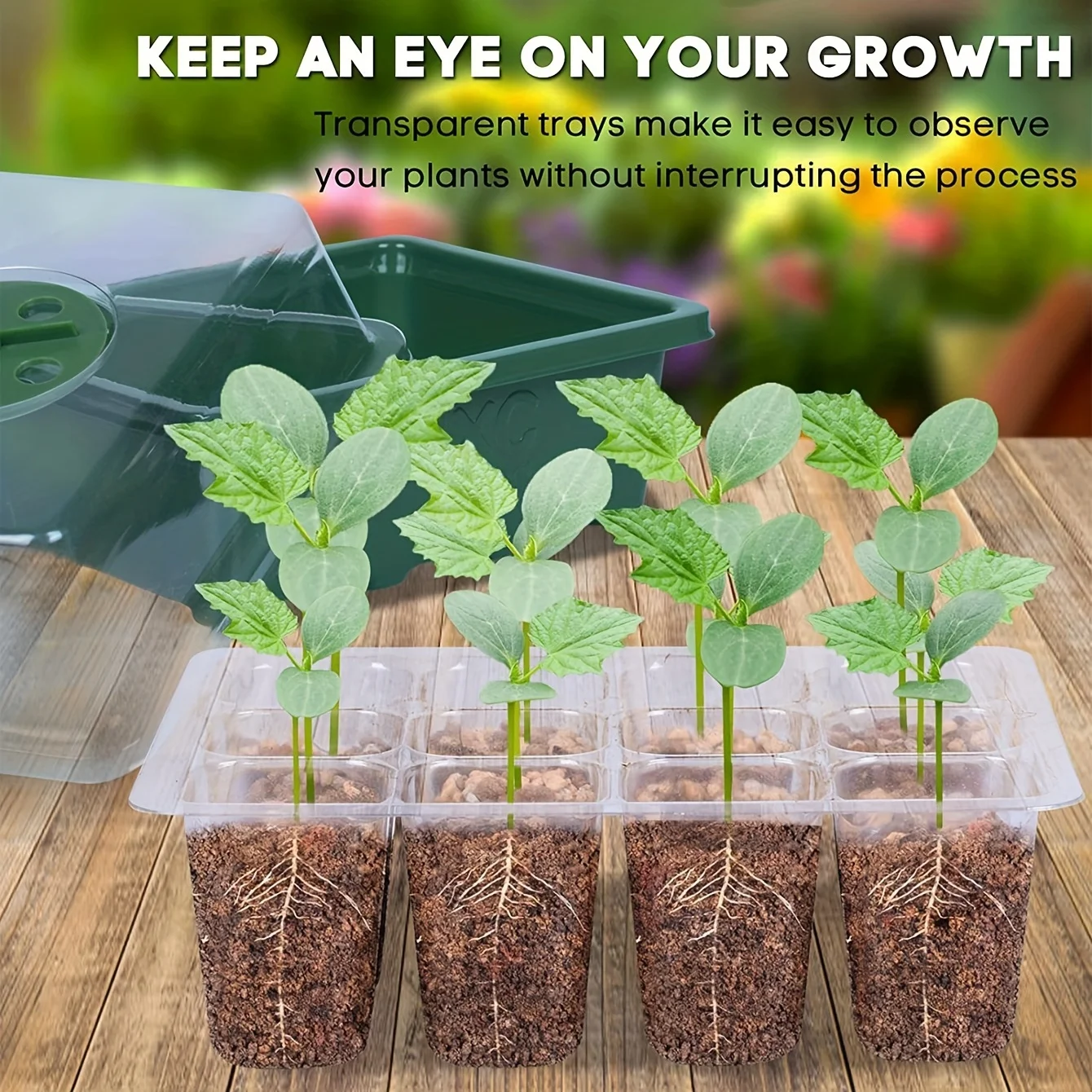 Grids Seed Nursery Pots With Ventilation Hole Seeds Growing Cultivation Planting Box Mini Greenhouse Plant Starter Kit 12pcs
