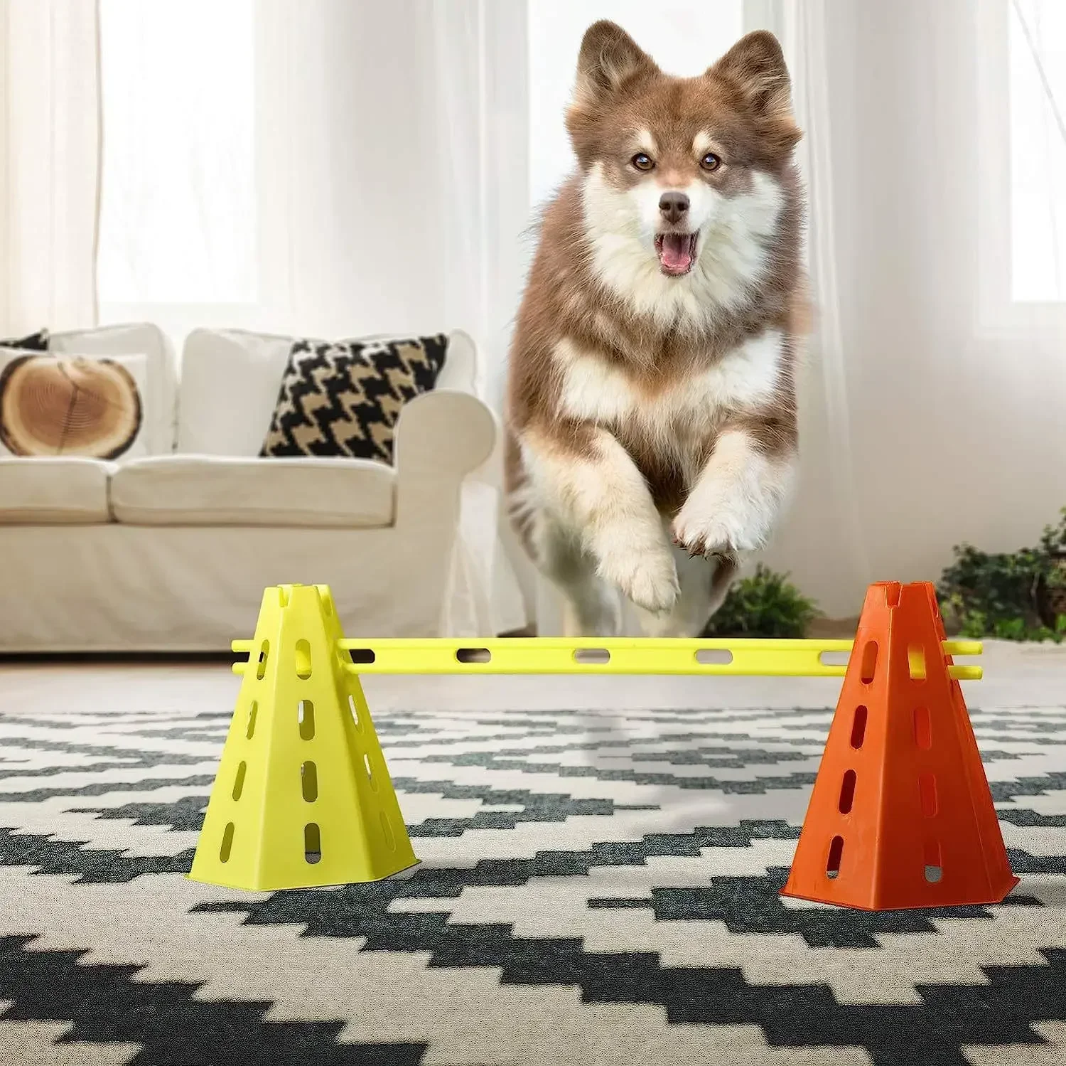 Pet Agility Obstacle Training Set 4