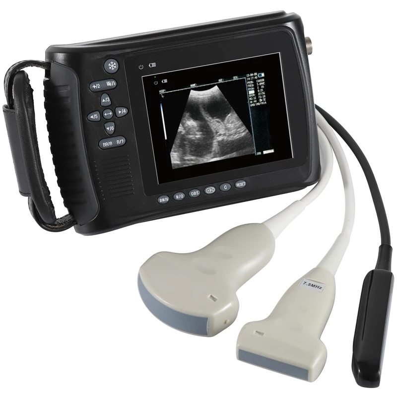 

Veterinaire Apparatuur Handheld Ultrasound Scanner Veterinaire Ultrasound Machine