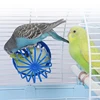 1PC Bird Parrot Feeder Cage Fruit Vegetable Holder Cage Access Hanging Basket Container Toy Pet Parrot Feeder Cage Supplies 3