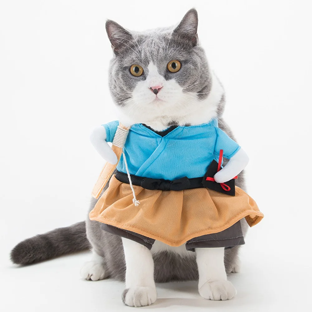 Por que as garotas de animes vestidas de gato, são tão fofinhas? - iFunny  Brazil