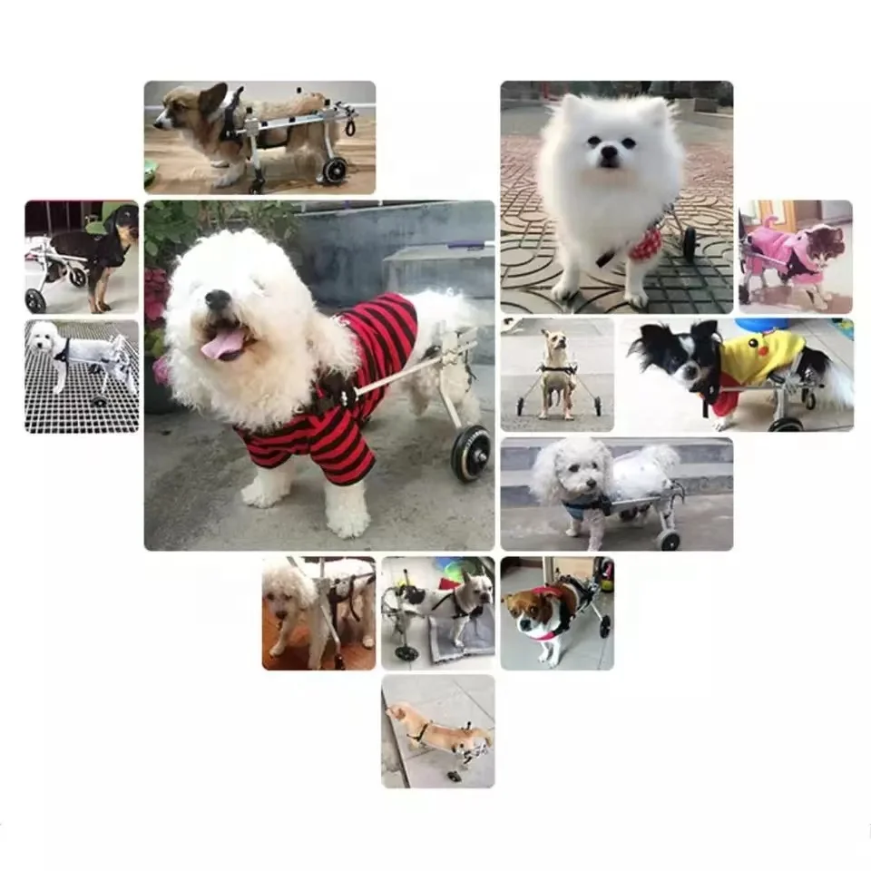 6834-273d1a.jpg Silla de ruedas ajustable para perros con 2 ruedas, para perros discapacitados patas traseras