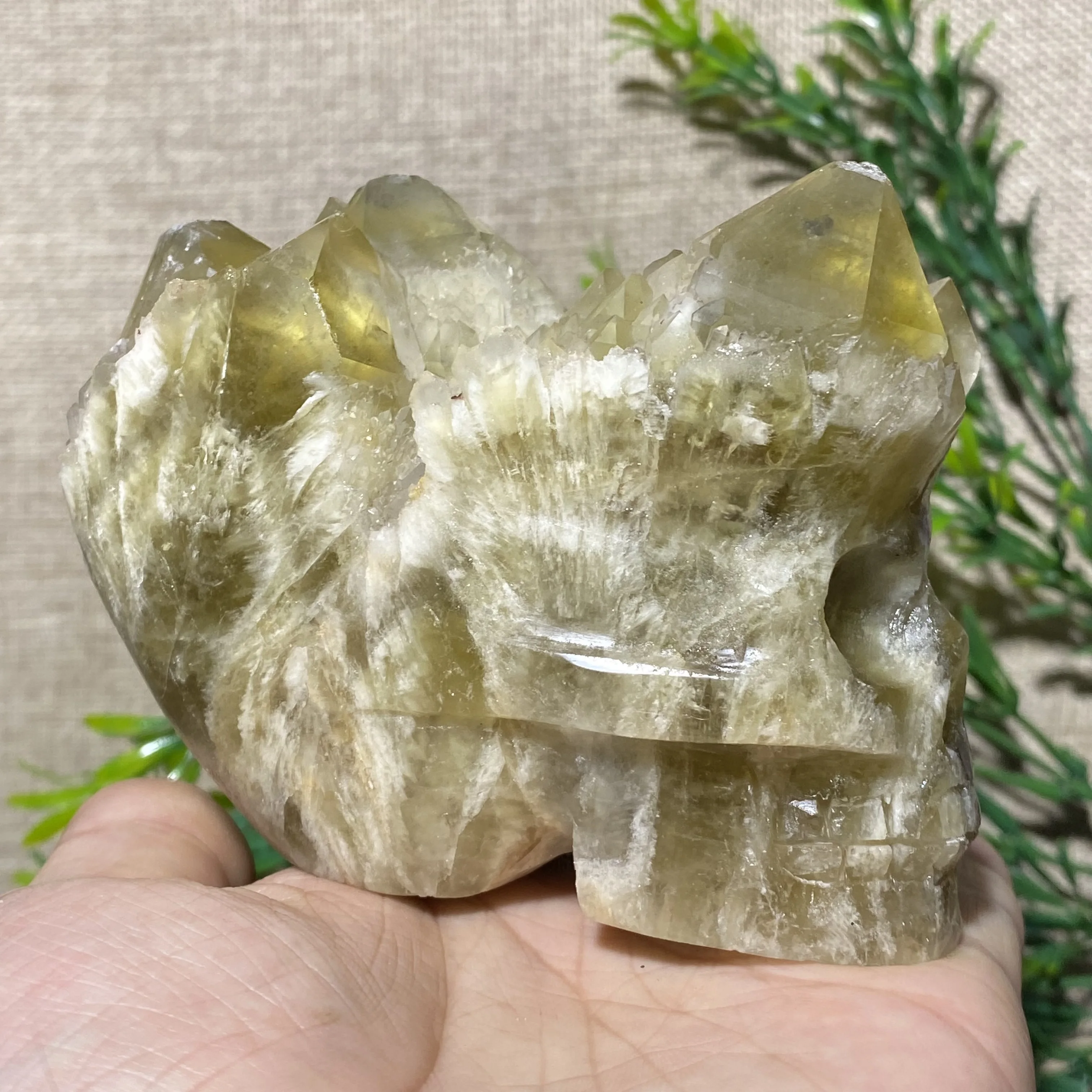 

Цитрин кластер череп Резьба Хрустальная резьба поделки драгоценные камни минералы Wicca духовное искусственное украшение для дома