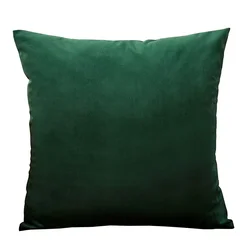 Luxurious Dark Green Velvet Pillow Covers - Soft Nordic Home Decor - 50cm x 50cm (Dark Green)