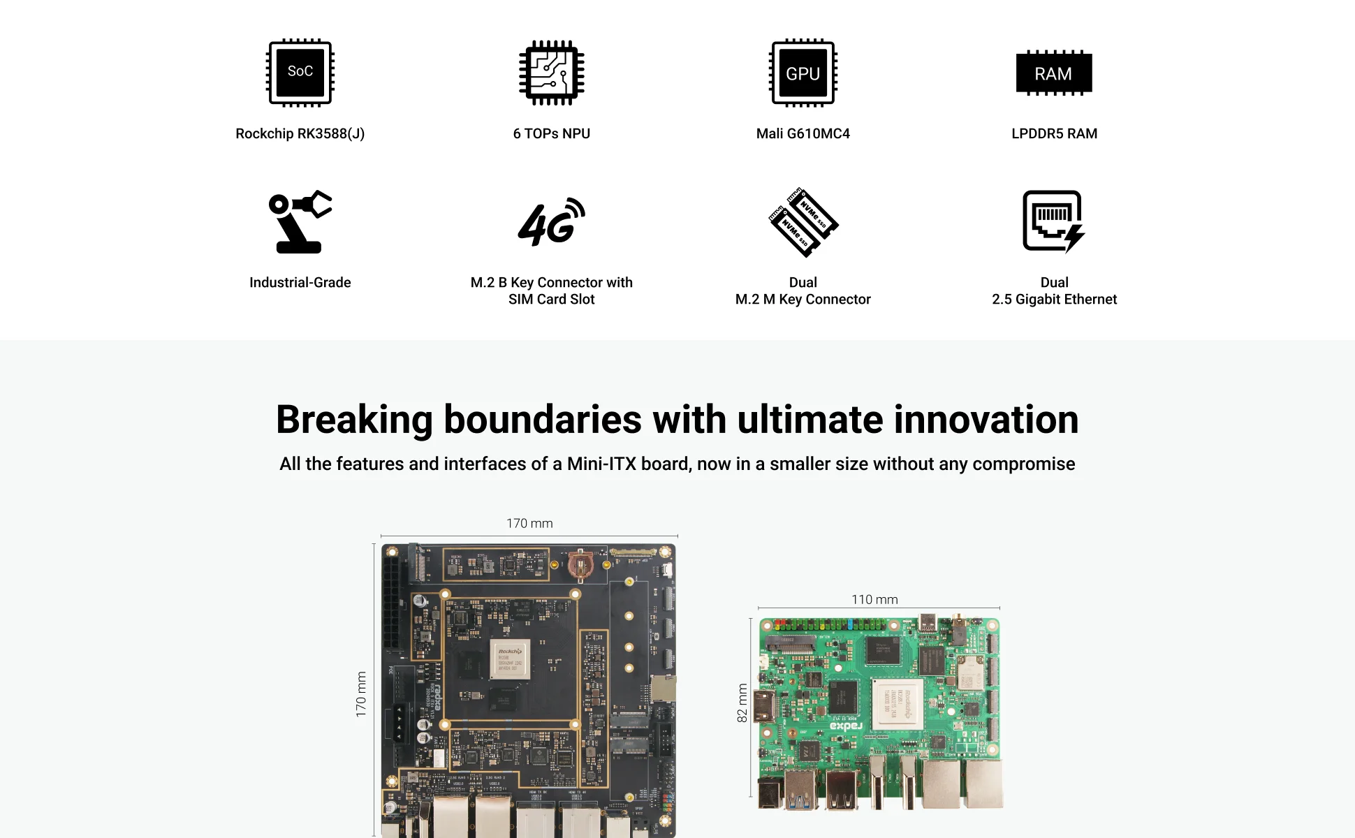 Norakichi 4点 (RSD・RMU・HP-LQD・DTS-LQD) divideRTOP (1).png
