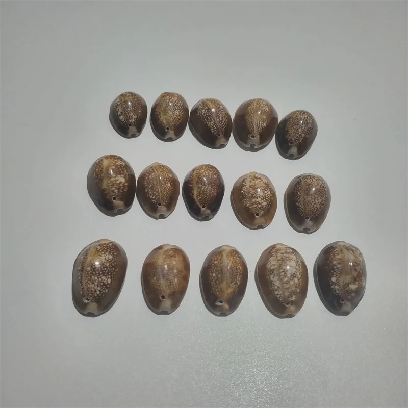 l Sea Snail Turtle ell Pearly  Creative Material for Children's DIY Bracelet Handmade Crt Home Decoration