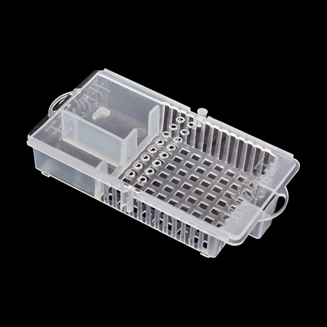 5PCS Queen Cage