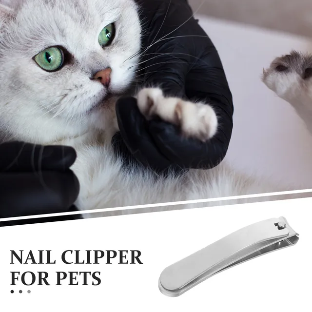 Stainless Steel Professional Pet Nail Clippers Angled Blades for Cats Small Breed Dogs Rabbits Sharp Comfortable Trimming Tool 2