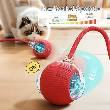 Smart Rolling Cat Ball 1