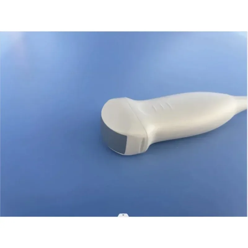 12 Inch Ultrasound Scanner Portable Black White Probe for Horse Cow Dog Portuguese Language XF P20 Veterinary Machine Laptop