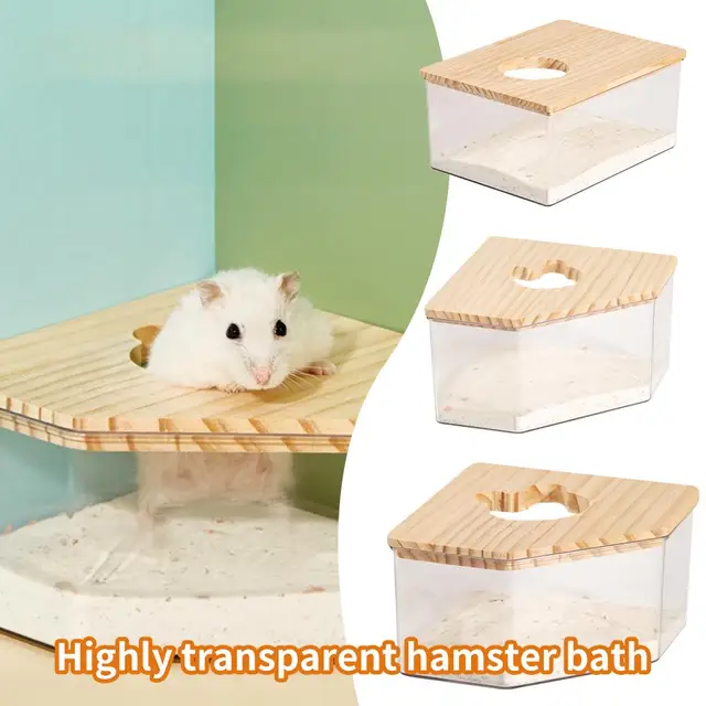 Hamster Golden Bear Sand Bath Box 6