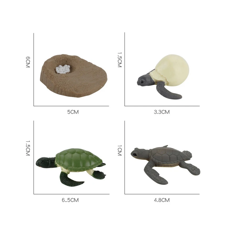 Turtle and Tortoise Action Figure Playset - Sea and Marine Animal Toy Collection