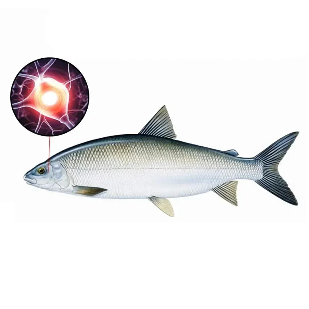 20ml Strong Scents Fish Attractants for Soft Lures Bait Additive Boilies Pop-Up Pellet Attractant Flavoured Spray Flavor Pesca fishing lure