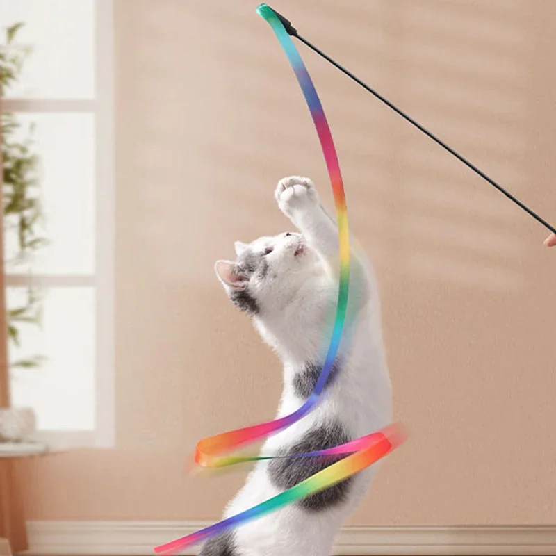 Interactive Colored Ribbon Cat Toys Teasing 4
