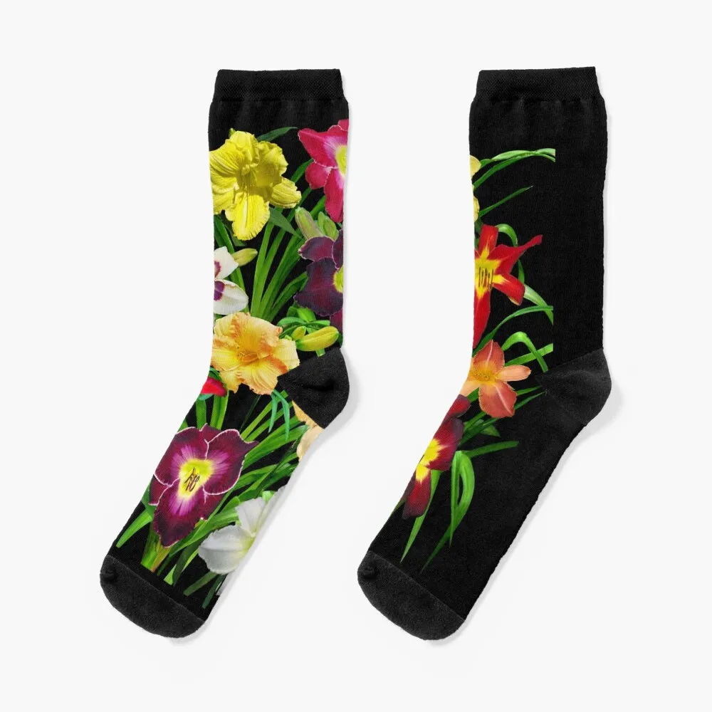 

Display of Daylilies I - on black Socks football sheer Socks Man Women's