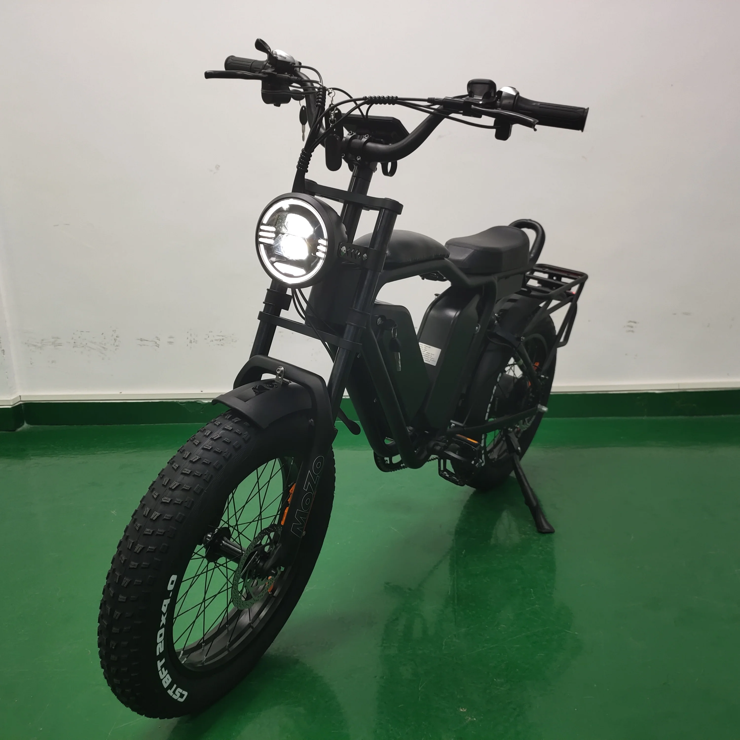 20inch 48v 22ah*2 Dual Lithium Battery 1000w Brushless Motor E Fat Tire Bike Ecycle Cargo Ebike Delivery Electric Bicycle
