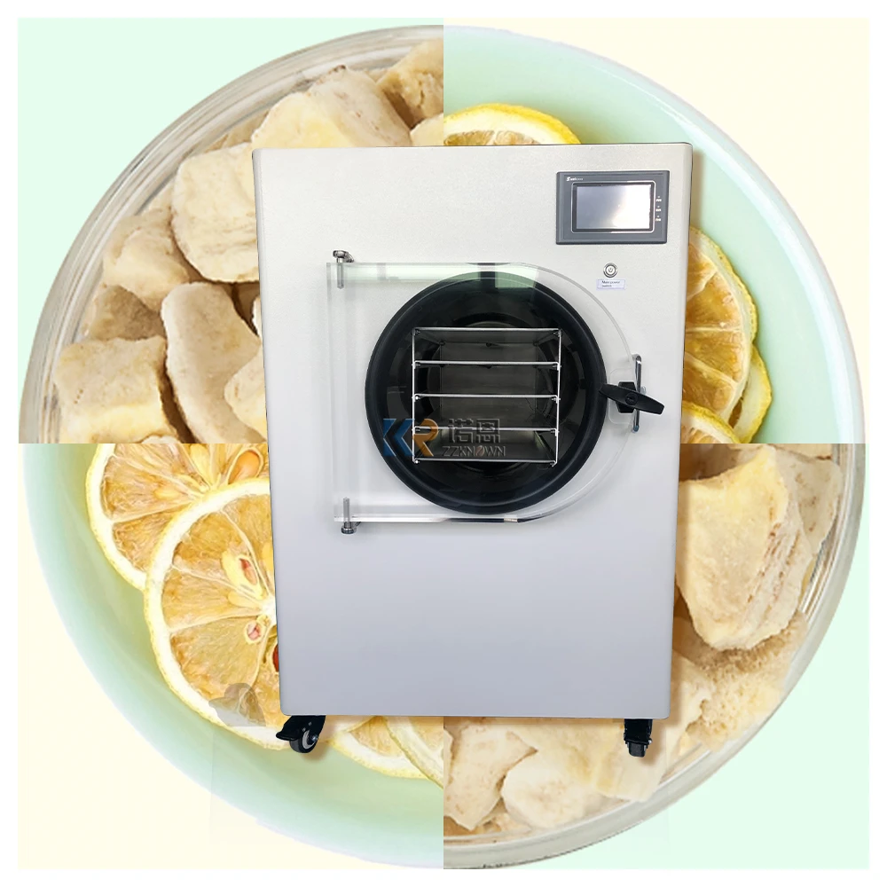 OEM 1 8kg Vacuum Fruit Freeze Drying Dried Machines for Sale Mini
