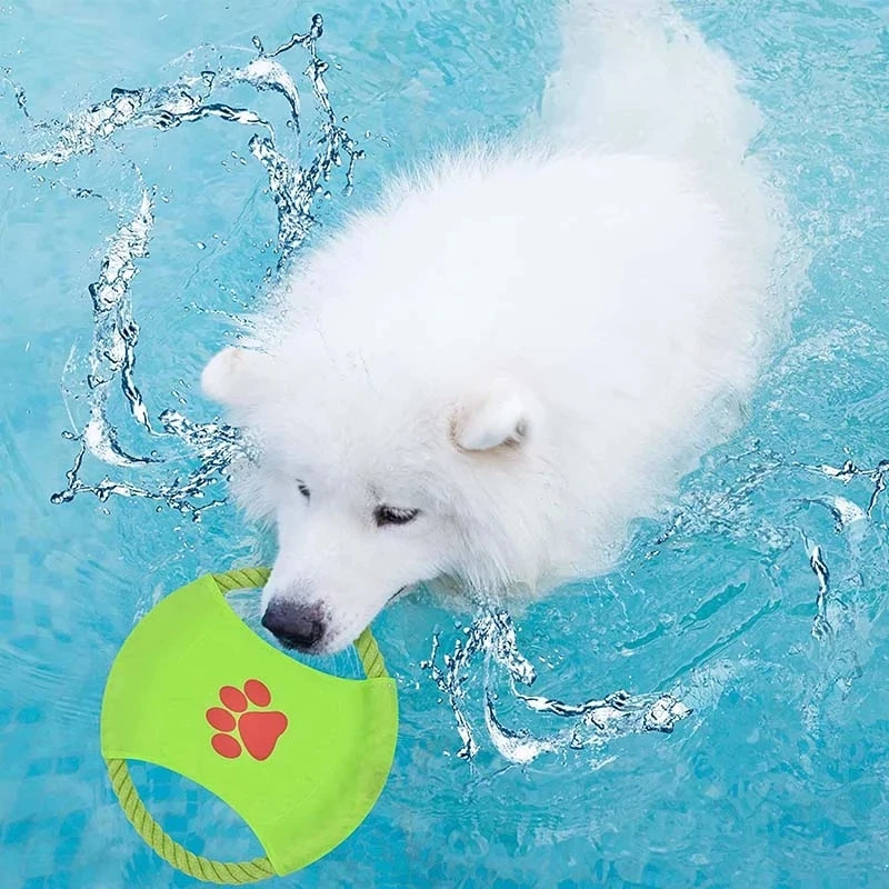 

2022 Pet UFO Toys New Small Medium Large Dog Flying Discs Trainning Interactive Toy Puppy Flying Disc Dogs Furniture Cama Perro