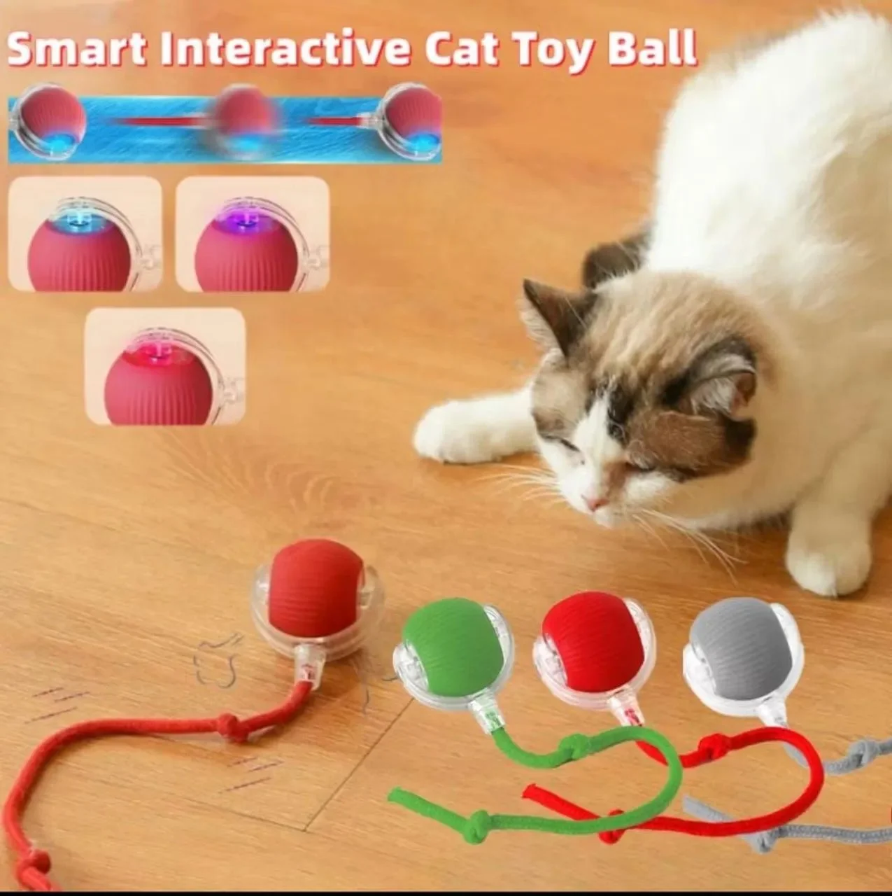 Bola rodante automática para gatitos 1