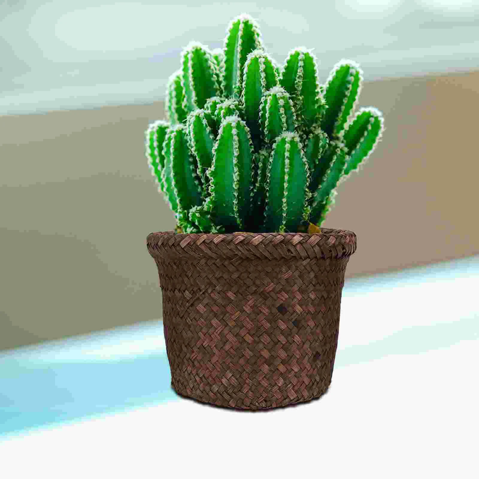 

Woven Seagrass Planter Basket Wicker Flower Pot Straw Plant Large Laundry Basket Rattan Beach Fruit Basket Pen Pencil Cup Gift