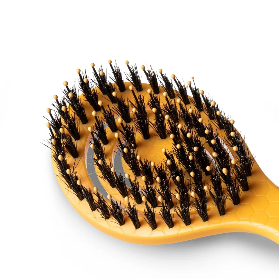 Eco Friendly Porcupine Bristle Dog Grooming Brush
