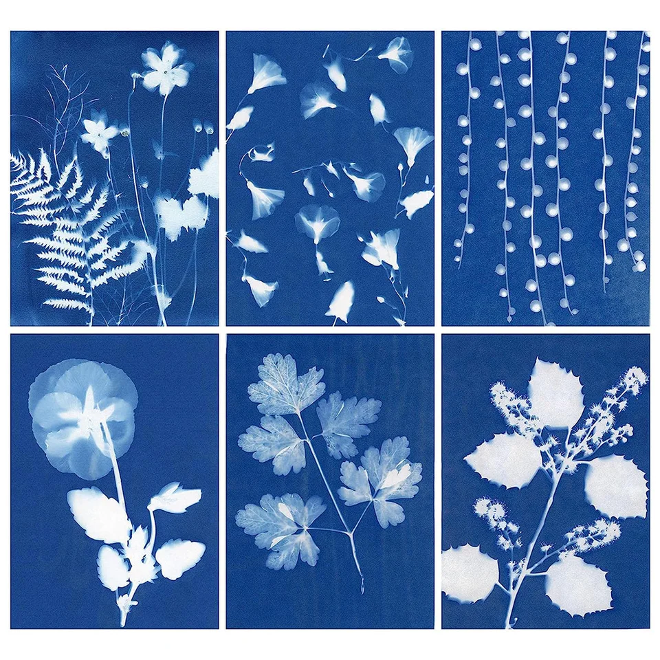 Carta Cianotipica A5 - 42 Fogli Per Stampa Al Sole, Alta Sensibilità | Progetti Artistici Fai Da Te - Foto 9