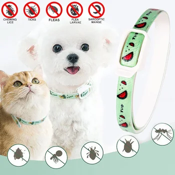 Dog Anti Flea and Tick Cat Collar 6 Months Protection Retractable Pet Control Collar for Puppy Cat Flea & Tick Prevention Collar 1