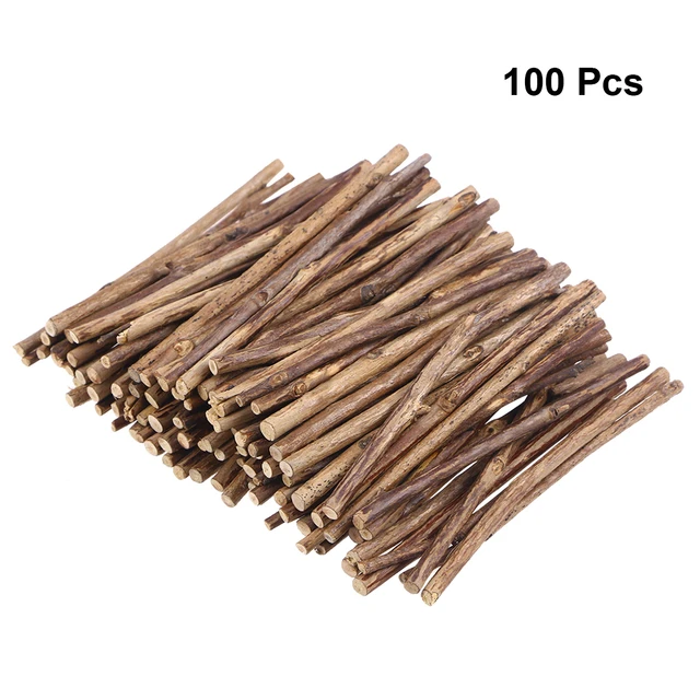 100pcs Natural Wooden Stick Long Wood Log Sticks for DIY Crafts Branch Tree  Bark Discs Stick DIY Craft Woodworking Tool - AliExpress
