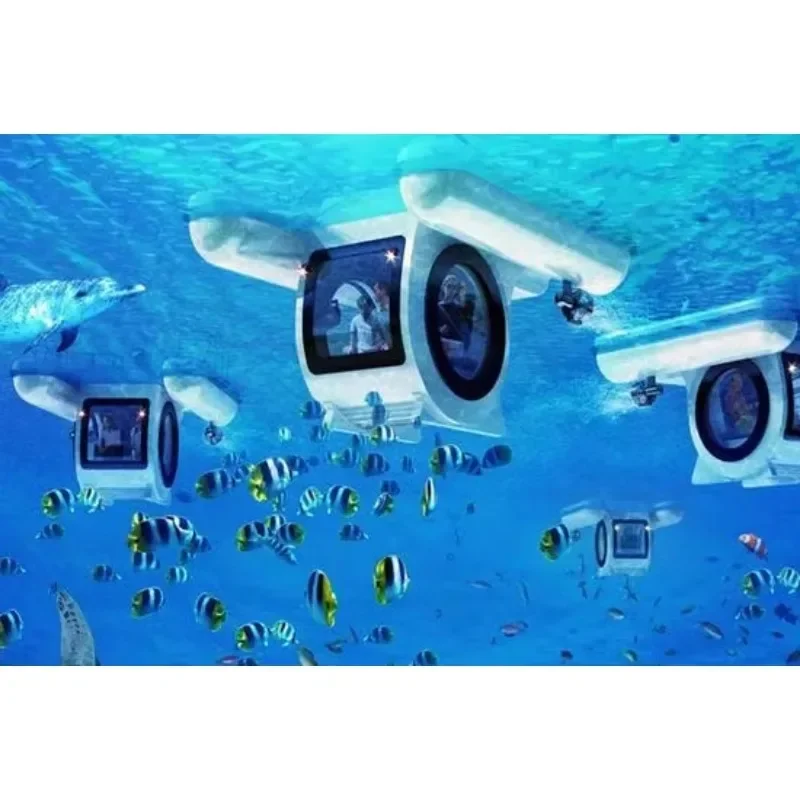 水中エクスカーション,セミサブマリン,ハネムーン旅行用水