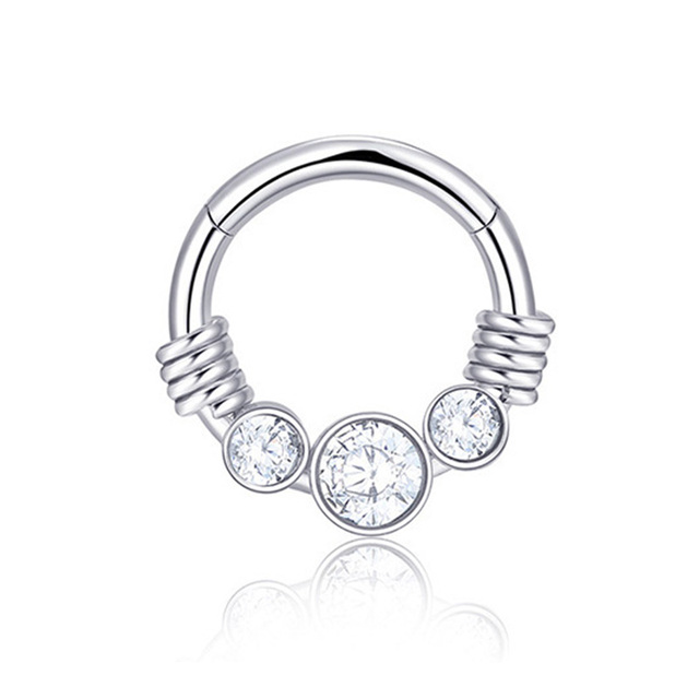 Nose Ring Hoop Septum Piercing Hinged Segment Clicker Surgical Steel Ear Cartilage Earrings Tragus Helix Daith Body Jewelry