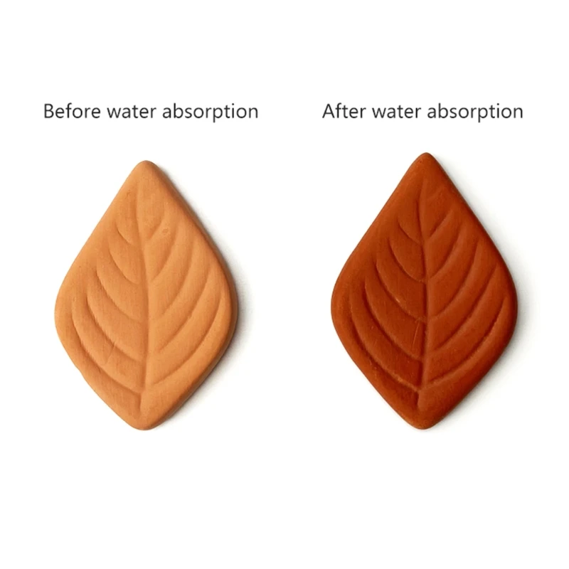 Leaf Clay Hydrostone Keep Conditioning Humidity Terracotta