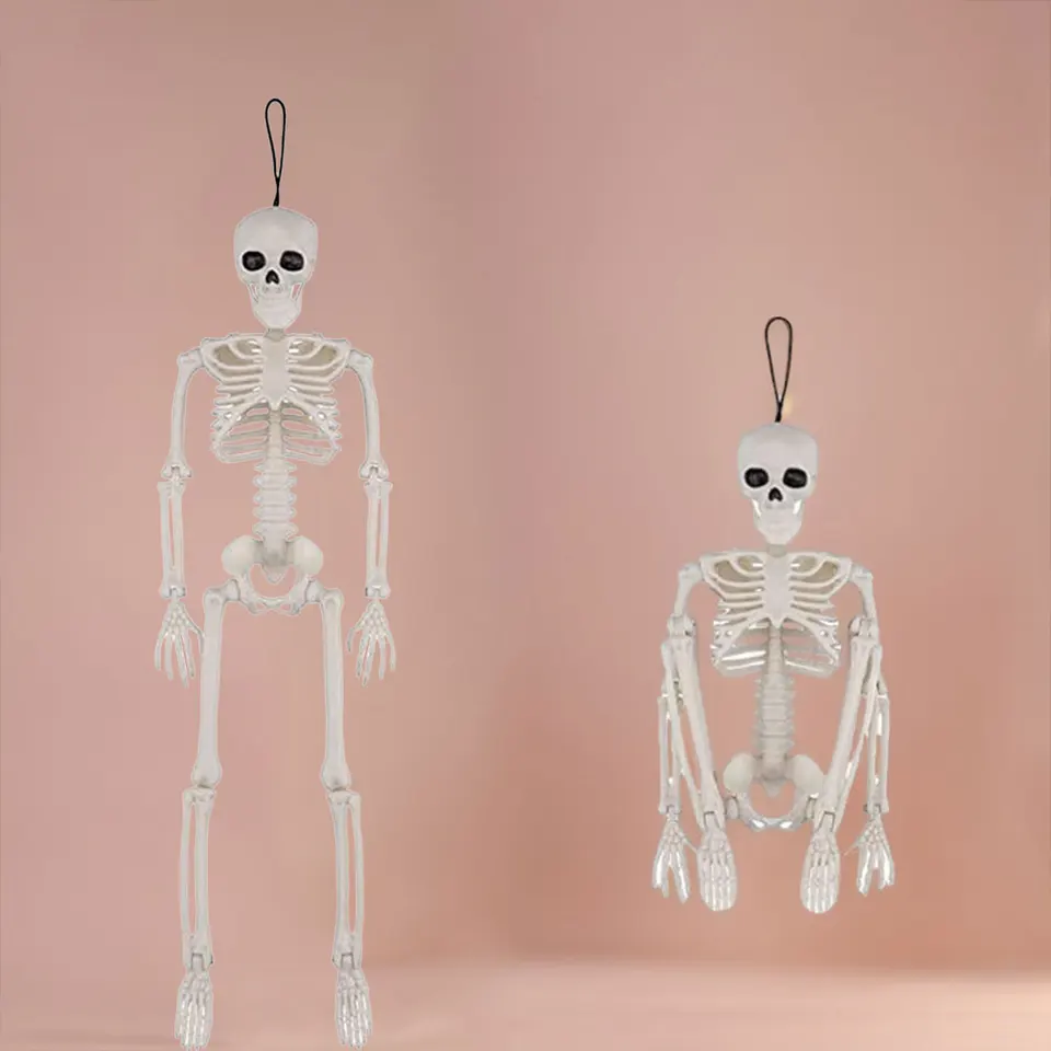Realistic Poseable Halloween Skeleton Decoration