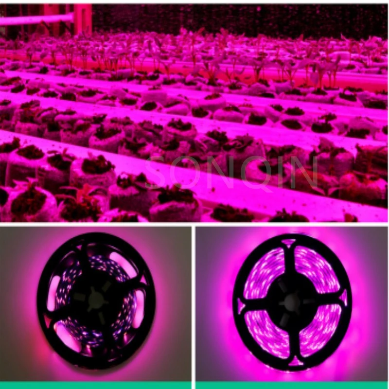 12V led grow light strip tent Full Spectrum Flower Plant Phyto Growth lamp for indoor Greenhouse Hydroponic grows lights 5M 5050