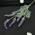 1.54ft Purple