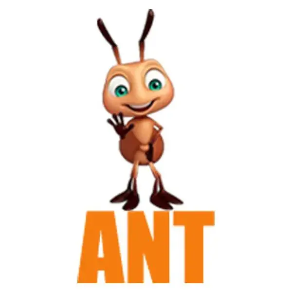 Ant Puzzle Toy Store