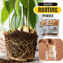 

Rapid Rooting Powder Fast Rooting Powder 1pc Extra Fast Abt Root Plant Flower Transplant Fertilizer Plant Growth Improve Surviva