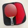 DHS 6002 Professional Table Tennis Racket, Hurricane 8 and Tin Arc Rubber, FL Handle Shake Hold Ping Pong Bat with Case