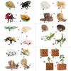 Simulated small animal model toy growth life cycle frog turtle chicken Montessori kindergarten teaching aids 5