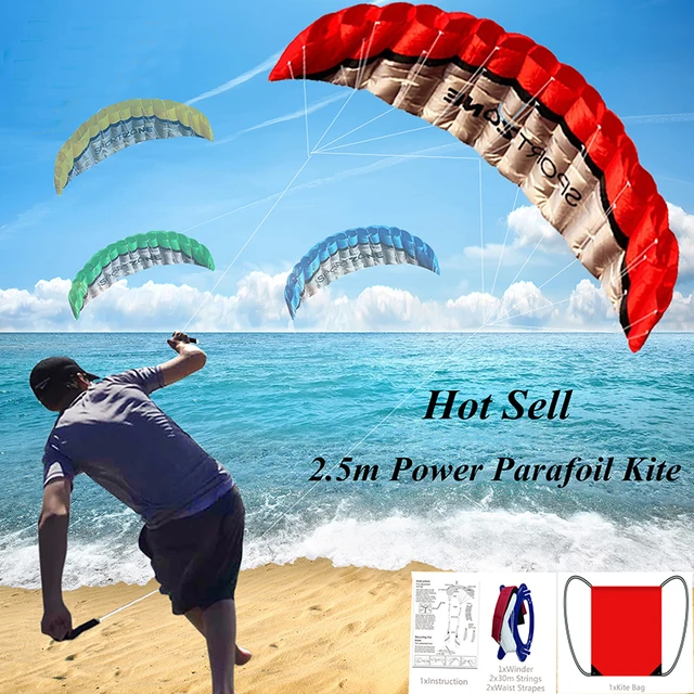 High Quality 2.5m Dual Line 4 Colors Parafoil Parachute Sports Beach Kite Easy to Fly Factory Outlet 1