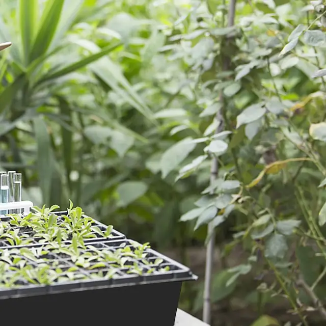 Palánta Tálcák | Ültetvényes Vetőmag -Tálcák, Csírázó Lefolyó Lyukakkal Újrahasznosítható Növény Termesztés Dugó Mini Szaporító Vetőmagokhoz - Image 4