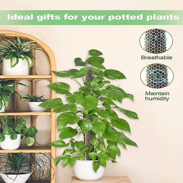 Monstera Moss Pole 24-inch Plant Support Poles Potted Plants Support Moss  Stick Ideal For Small/Medium Climbing Plants Indoor - AliExpress