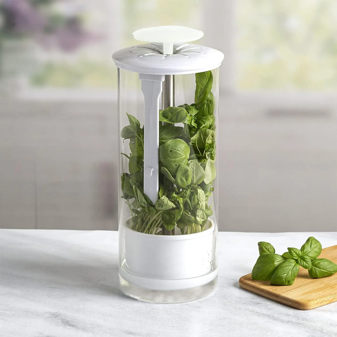 Vegetable Freshness Keeper Plastic Storage Container – Airtight Cilantro Box Refrigerator Organizer Herbs Greens Leafy Veggies