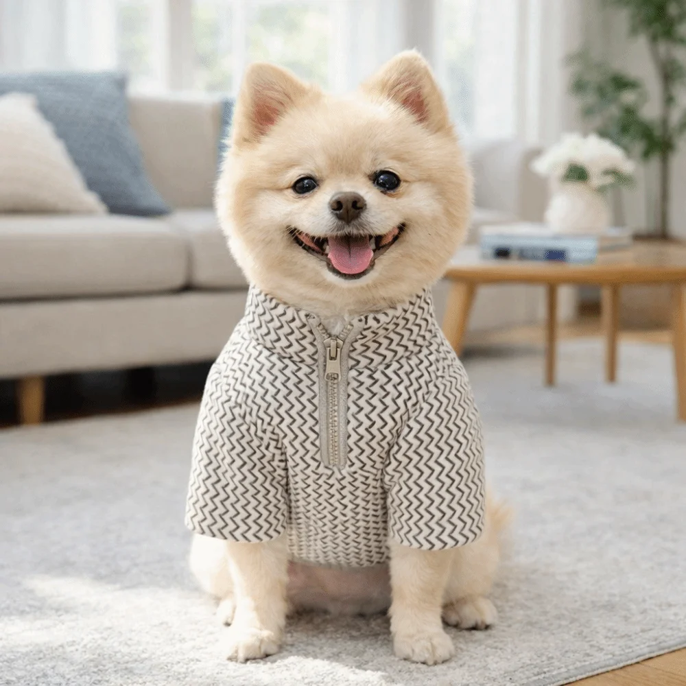 강아지 의상 따뜻한 강아지 후드티 편안하고 부드러운 강아지 스웨트셔츠 지퍼가 있는 단색 강아지 옷 실내외용